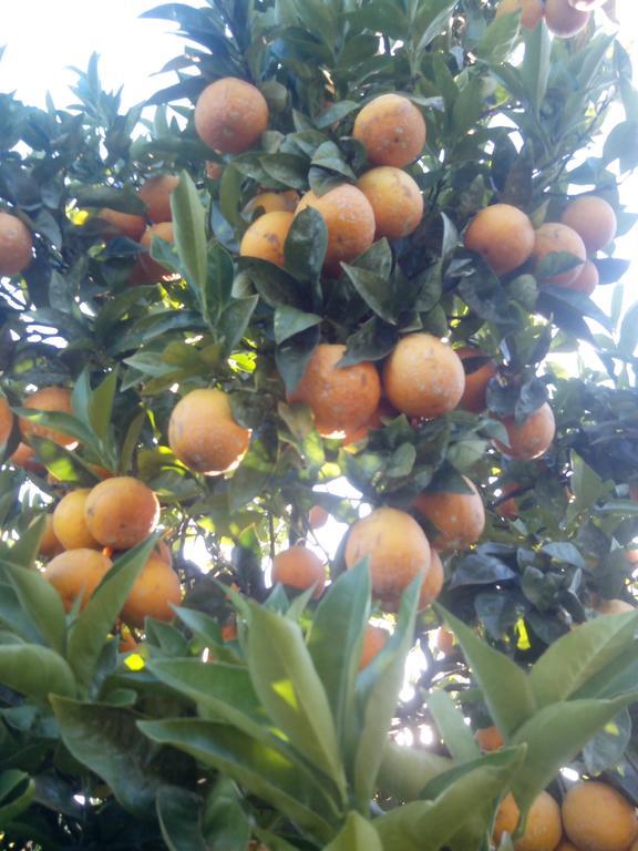 Quinta Da Lage Βίλα Barcelos Δωμάτιο φωτογραφία