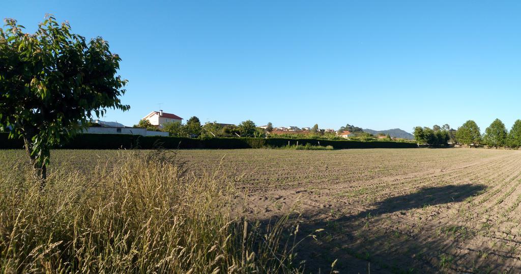 Quinta Da Lage Βίλα Barcelos Εξωτερικό φωτογραφία